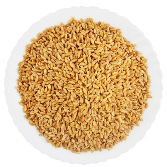 Lokwan Wheat